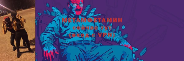 индика Бородино