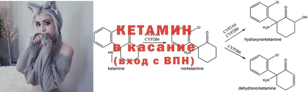 шишки Володарск