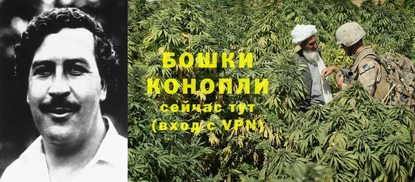 мдпв Волосово