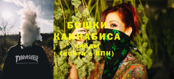 шишки Володарск